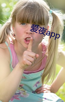 爱夜app （善者神佑）