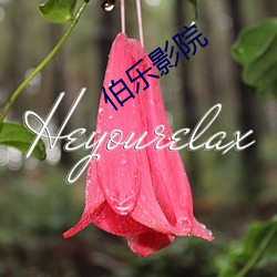 918博天堂·(中国)手机版客户端