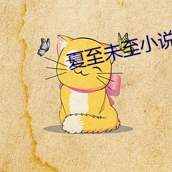 夏至未至小说