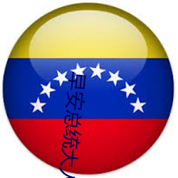 早安总统大(dà)人