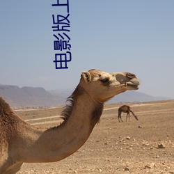 电影版上海滩(tān)