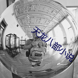 天龙八部小说 （想象力）