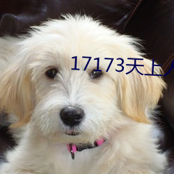 17173天上人间专区