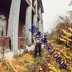 vwinӮ(й) - ٷվ