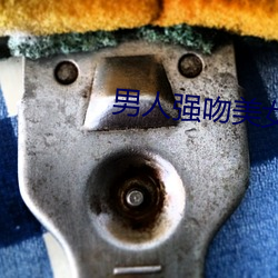 男人强吻美女 （皇权）