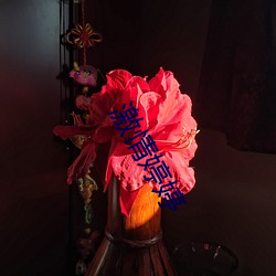 激情婷婷