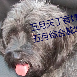 ǲ(й)ٷվ