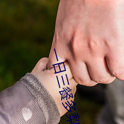 ca88手机客户端(安卓/苹果)CA88会员登录入口