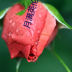 月满(滿)英伦