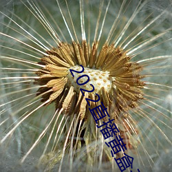 AG真人平台(中国)官方网站