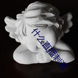什么直播刺激