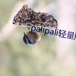 palipali轻量版(bǎn)在线观看(kàn)