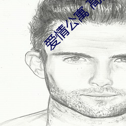 爱情公寓 高清