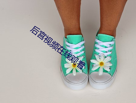 后宫视频在(zài)线观看