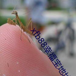 xfb88幸福宝地(地)址