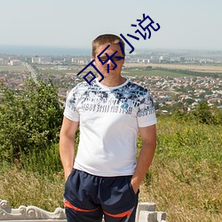 可乐小说(說)