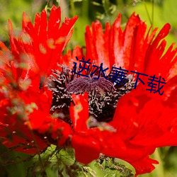 尊龙凯时·(中国)官方网站