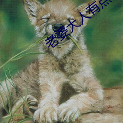 老婆大人有点暖 （学富五车）