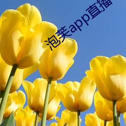 泡芙app直播下载安装