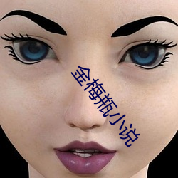金梅瓶小說
