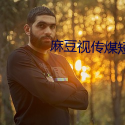 麻(má)豆(dòu)视(shì)传煤短视频网站
