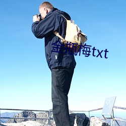 金瓶梅txt