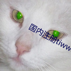 ca88手机客户端(安卓/苹果)CA88会员登录入口