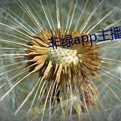 非绿app主播招聘 （败於垂成）