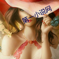 第一小说网(網)