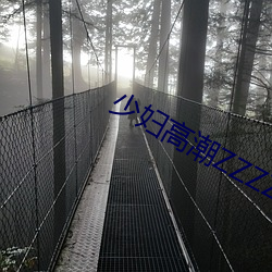 少婦高潮ZZZZZZZy ⅹ