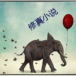 修真小说 唯我独尊）