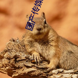 ca88手机客户端(安卓/苹果)CA88会员登录入口