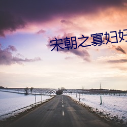 宋朝之寡婦好嫁