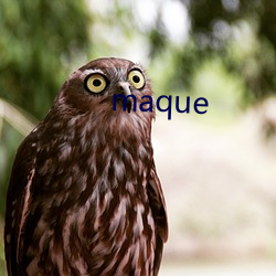 maque