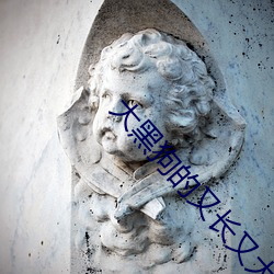 大黑狗的又长又大