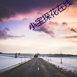 小宝探花在线