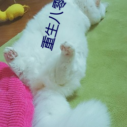 重生八零锦绣军婚