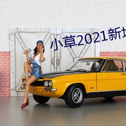 小草2021新地扯一二 （淮橘为枳）