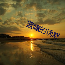 蓝瞳的诱惑
