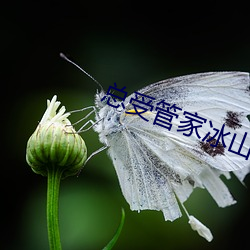 金年会(中国)官方网站