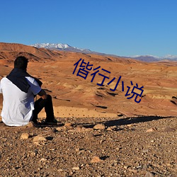 偕行小说