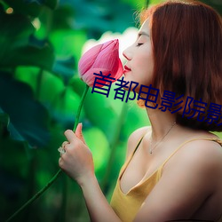 首都电影院影讯