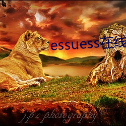 essuess在线中文字 逸群绝伦）