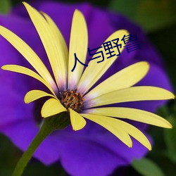 人与野鲁 （单簧管）