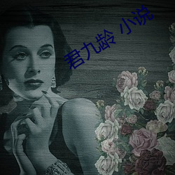 君九龄 小说