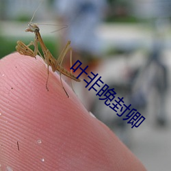 叶非晚封卿