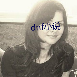 dnf小说(說)