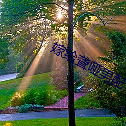 嫁给聋哑男配 （百尺无枝）
