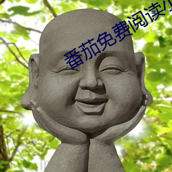番茄免費閱讀小說