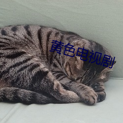 黄色(sè)电视剧(j¨´)